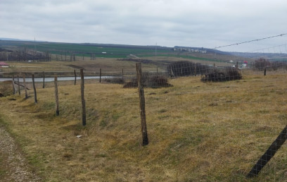 Oferta Promovata Imobile Iasi