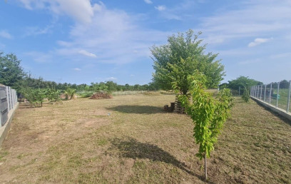 Oferta Promovata Imobile Iasi