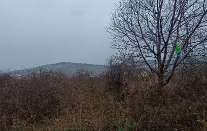 Oferta Promovata Imobile Iasi