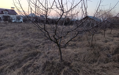 Oferta Promovata Imobile Iasi