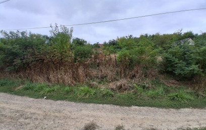 Oferta Promovata Imobile Iasi