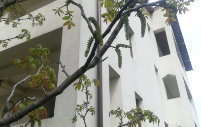 Oferta Promovata Imobile Iasi