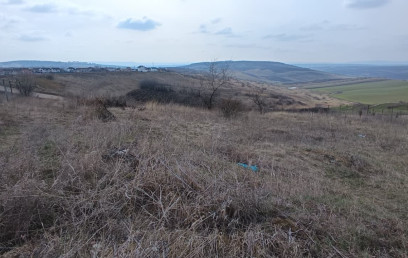 Oferta Promovata Imobile Iasi