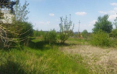 Oferta Promovata Imobile Iasi