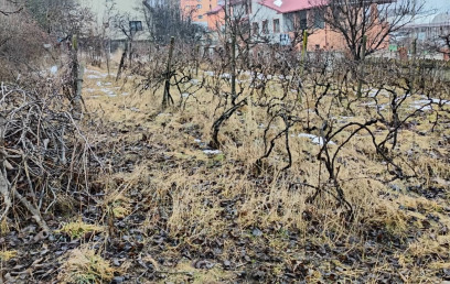 Oferta Promovata Imobile Iasi