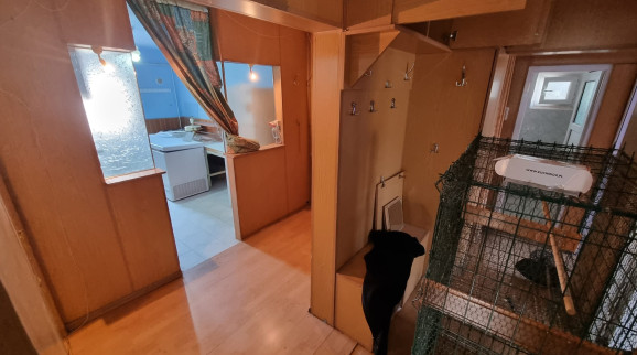 Oferta Imagine 14